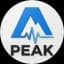 Peak Performance Data Logo